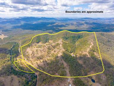 Farm Sold - QLD - Amamoor Creek - 4570 - Welcome to "Sanctuary Hill" a 256 acre Off Grid Paradise  (Image 2)