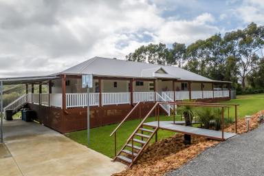 Farm Sold - WA - Gidgegannup - 6083 - Immaculate 4x2 Queenslander Residence on 5 Acres  (Image 2)