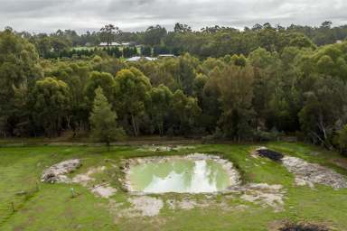 Farm Sold - WA - Gidgegannup - 6083 - Immaculate 4x2 Queenslander Residence on 5 Acres  (Image 2)