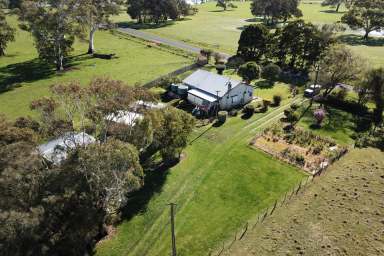 Farm Sold - SA - Tarpeena - 5277 - Lifestyle- Farming- Investment  (Image 2)