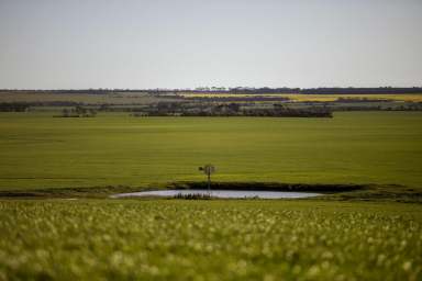 Farm Sold - WA - Neridup - 6450 - 'WAREKLIA'
At the forefront of agricultural production in the Esperance Port Zone.  (Image 2)