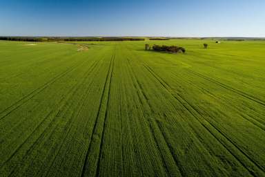 Farm Sold - WA - Neridup - 6450 - 'WAREKLIA'
At the forefront of agricultural production in the Esperance Port Zone.  (Image 2)