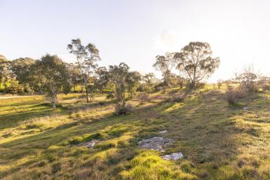 Farm Sold - SA - Naracoorte - 5271 - Impressive view over the valley and Naracoorte Creek  (Image 2)
