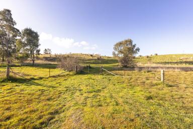 Farm Sold - SA - Naracoorte - 5271 - Impressive view over the valley and Naracoorte Creek  (Image 2)