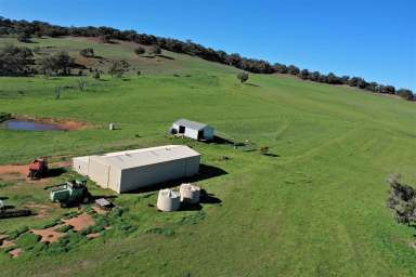 Farm Sold - WA - Mooliabeenee - 6504 - Summer Views  (Image 2)