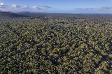 Farm Sold - VIC - Bornes Hill - 3379 - Untouched Bush Block  (Image 2)