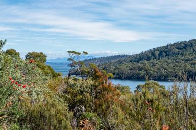 Farm For Sale - TAS - Eaglehawk Neck - 7179 - Time to unwind here at the epicenter of natural beauty. North facing and nestled into the hills overlooking Pirates Bay and beyond.  (Image 2)