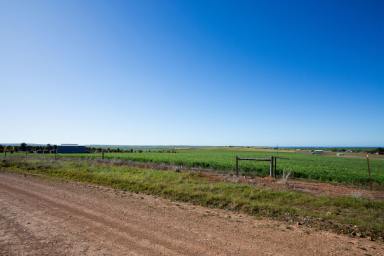 Farm Sold - SA - Lipson - 5607 - Rare Land to create your lifestyle.  (Image 2)