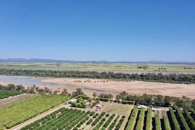 Farm For Sale - QLD - Kirknie - 4806 - 20 Acre Lime Orchard - House - Sheds - Machinery  (Image 2)