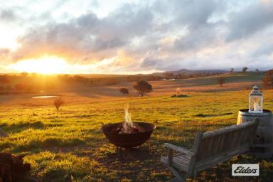 Farm Sold - VIC - Elphinstone - 3448 - AMAZING PANORAMIC VIEWS, PRIVACY & A SPRAWLING HOMESTEAD  (Image 2)