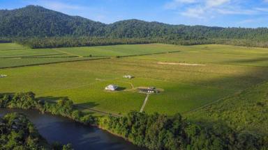 Farm For Sale - QLD - Aloomba - 4871 - Ralphs Ranch  (Image 2)