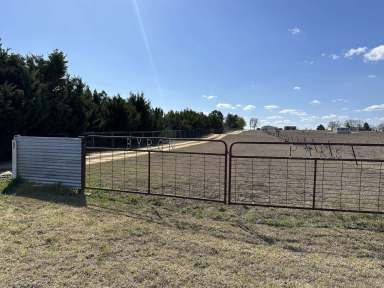 Farm Sold - NSW - Inverell - 2360 - 'Byron Park' - Exclusive New Listing  (Image 2)