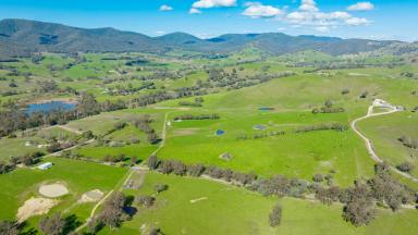 Farm Sold - VIC - Sandy Creek - 3695 - HEAVY CARRYING COUNTRY WITH HUGE POTENTIAL  (Image 2)