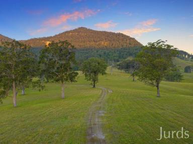 Farm Sold - NSW - Congewai - 2325 - BLUE HILLS  (Image 2)