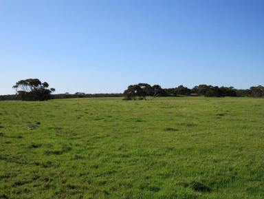 Farm For Sale - SA - Keith - 5267 - Diverse grazing and cropping country  (Image 2)