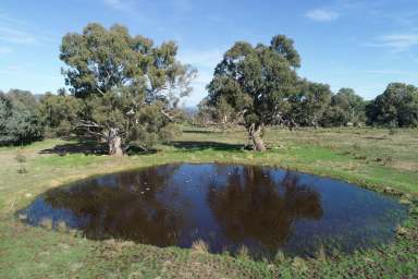 Farm Sold - VIC - Mansfield - 3722 - COME FOR THE VIEW AND STAY FOR THE LOCATION  (Image 2)