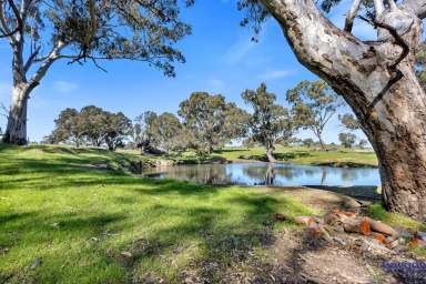 Farm Sold - SA - Flaxman Valley - 5235 - Price Reduced! “Spring Gully" Mt McKenzie, stunning property, productive, big gums, permanent water. 10 min from Angaston.  (Image 2)