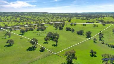 Farm Sold - SA - Flaxman Valley - 5235 - Price Reduced! “Spring Gully" Mt McKenzie, stunning property, productive, big gums, permanent water. 10 min from Angaston.  (Image 2)