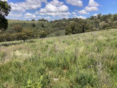 Farm Sold - NSW - Cassilis - 2329 - Grazing Acres!  (Image 2)