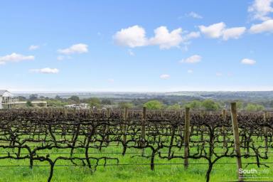 Farm Sold - SA - Willunga - 5172 - Boutique Vineyard - Elevated 20 acres approx. – Views to Coast  (Image 2)