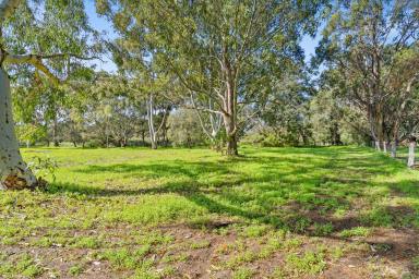 Farm Sold - WA - Reinscourt - 6280 - SPACE, SERENITY & SECLUSION  (Image 2)