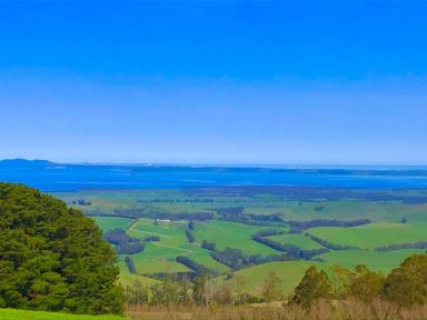 Farm For Sale - VIC - Mount Best - 3960 - Panoramic views over coast and country  (Image 2)