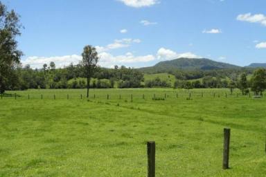 Farm Sold - NSW - Kyogle - 2474 - KILLALOE - 136 PRIME ACRES  (Image 2)