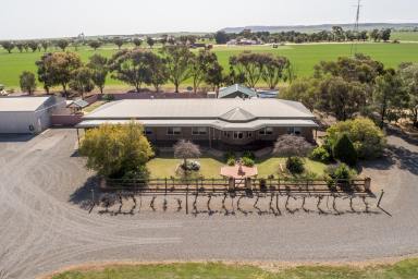 Farm Sold - SA - Crystal Brook - 5523 - Country Lifestyle with something for the whole family  (Image 2)
