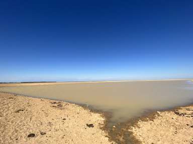 Farm Sold - QLD - Isisford - 4731 - Flexible Grazing Enterprise  (Image 2)