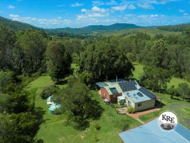 Farm For Sale - NSW - Kyogle - 2474 - REDUCED TO SELL "LITTLE OASIS"  (Image 2)