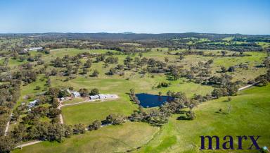 Farm Sold - SA - Angaston - 5353 - LIFESTYLE PROPERTY IN THE BAROSSA RANGES  (Image 2)