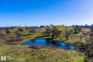 Farm Sold - NSW - Mudgee - 2850 - SUNNY HILL  (Image 2)