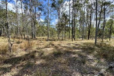 Farm Sold - QLD - Glenwood - 4570 - BUILD UP HIGH AND GET THE BREEZES!  (Image 2)