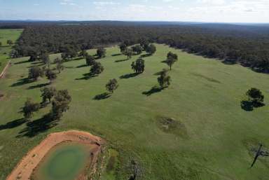 Farm For Sale - WA - York - 6302 - Ideal rural block close to Perth                                          58ha (143acres)  (Image 2)