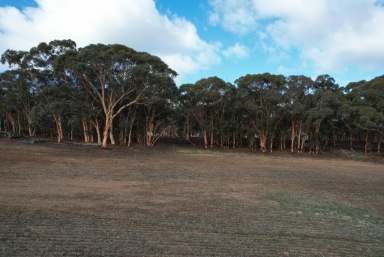 Farm Sold - WA - Talbot - 6302 - "Horse Paddock "A unique block ideally situated                            23.5ha (58acres)  (Image 2)