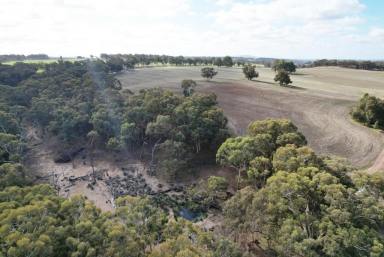 Farm Sold - WA - Talbot - 6302 - "Horse Paddock "A unique block ideally situated                            23.5ha (58acres)  (Image 2)