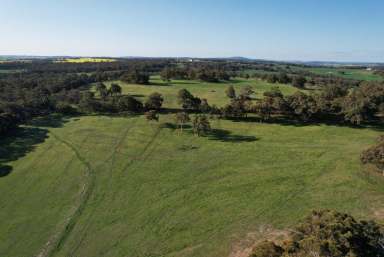 Farm For Sale - WA - Talbot - 6302 - Prime land in a reliable area approx 295ha (728acres)  (Image 2)