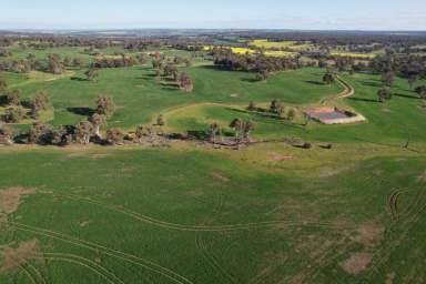 Farm For Sale - WA - Talbot - 6302 - Prime land in a reliable area approx 295ha (728acres)  (Image 2)