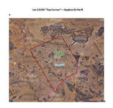 Farm For Sale - WA - Talbot - 6302 - Prime land in a reliable area                              approx 91ha (224acres)  (Image 2)
