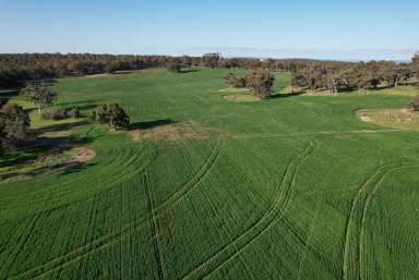 Farm For Sale - WA - Talbot - 6302 - Prime land in a reliable area  (Image 2)