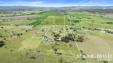 Farm For Sale - QLD - Oaky Creek - 4285 - Farm, Homestead, Cafe and DA approved for Accommodation Expansion  (Image 2)