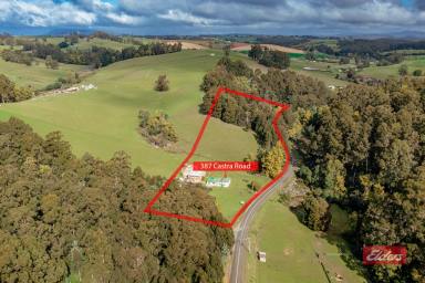 Farm Sold - TAS - Ulverstone - 7315 - RURAL LIVING MINUTES FROM TOWN!  (Image 2)