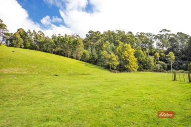 Farm Sold - TAS - Ulverstone - 7315 - RURAL LIVING MINUTES FROM TOWN!  (Image 2)