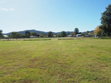 Farm Sold - NSW - Bingara - 2404 - Country Living Close To Town  (Image 2)