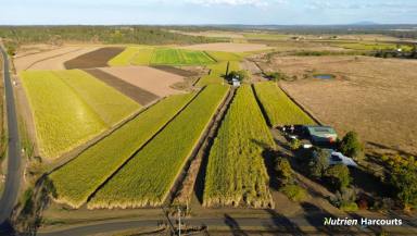 Farm For Sale - QLD - McIlwraith - 4671 - CANE, CATTLE AND HAY PRODUCTION FARM!!!  (Image 2)