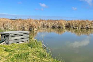 Farm For Sale - SA - Clayton Bay - 5256 - Waterfront Wonderland  -  The Perfect Retreat  (Image 2)