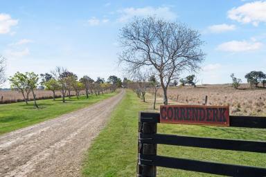 Farm For Sale - QLD - Southbrook - 4363 - “Correnderk” 89 Hazelwood Road Southbrook – Location, Lifestyle & Luxury  (Image 2)