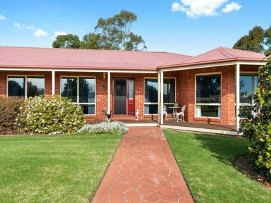 Farm For Sale - VIC - Wy Yung - 3875 - Great family home with views to Mt Taylor  (Image 2)