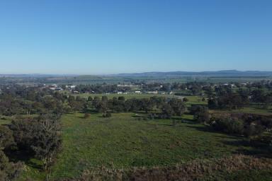 Farm Sold - NSW - Canowindra - 2804 - 10 ACRES* TO BUILD YOUR DREAM HOME  (Image 2)
