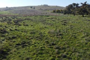 Farm Sold - NSW - Canowindra - 2804 - 10 ACRES* TO BUILD YOUR DREAM HOME  (Image 2)